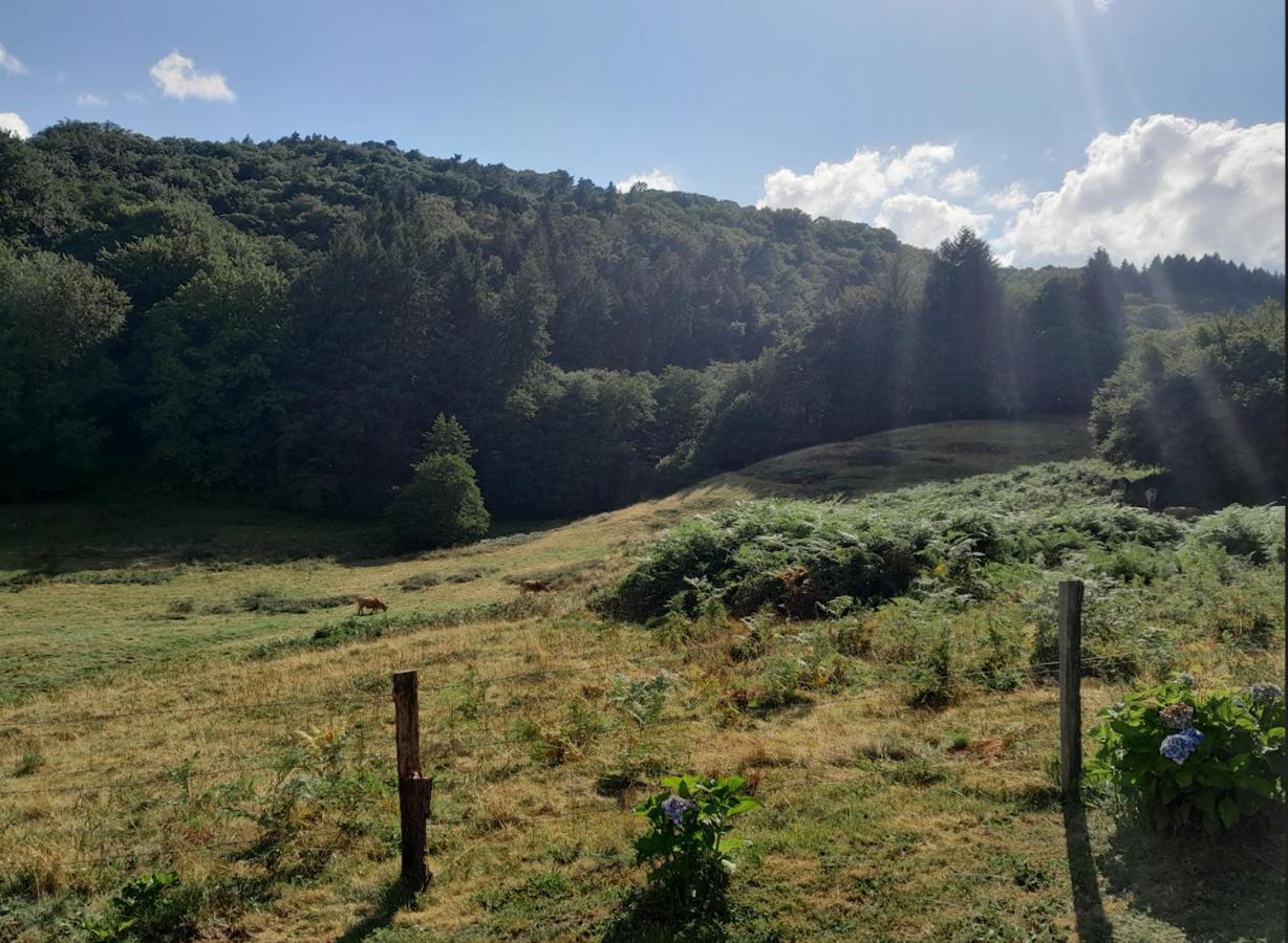 Chalet A Saint-sylvestre Avec Terrasse Et Jardin